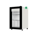 Western Mini Fridge 30 Liter SRC30HC-GL