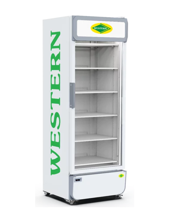 a white refrigerator with shelves