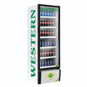 Buy Western Visi Cooler 340 Liter SRC380-GL | Chefglobe