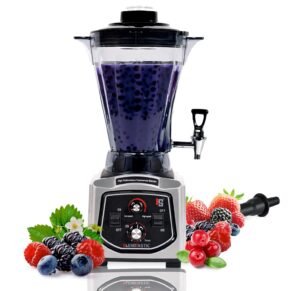 Blendtastic Heavy Duty Commercial Blender 6.8 Ltr With Faucet And Timmer