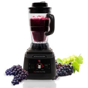 Blendtastic Heavy Duty Commercial Blender 5 Liter
